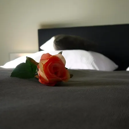 Lutz * פאדרבורן